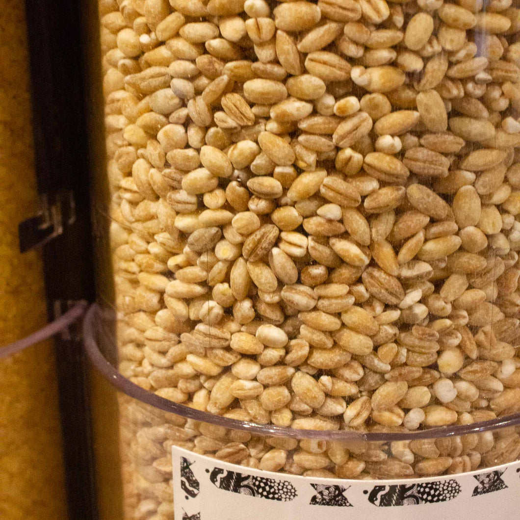 Pearl Barley