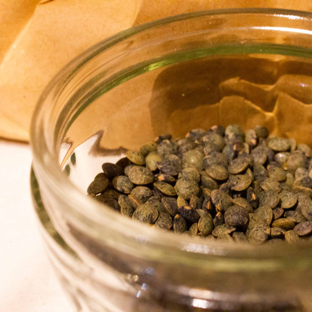 Puy Lentils